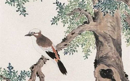 生肖豬2023年2月開(kāi)業(yè)好不好 黃歷宜開(kāi)張日子