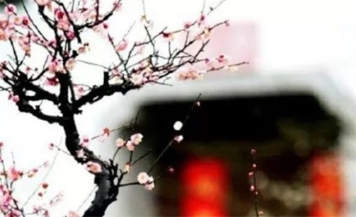 2023年2月22日是出行黃道吉日嗎 這天出門吉不吉利