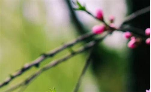 2023年2月7日出行好不好 是出門旅游的最佳時機嗎