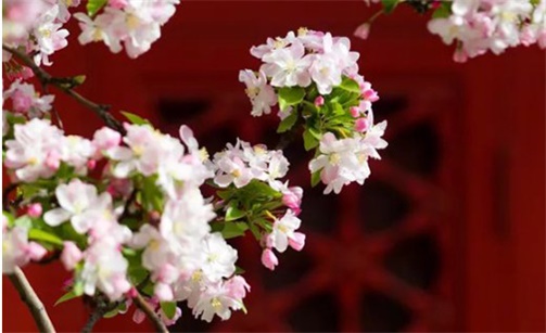 2023年2月15日是最好的動土吉日嗎 宜建房動土嗎