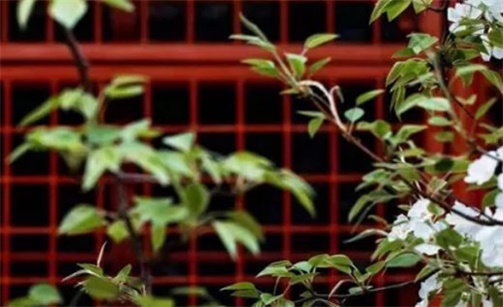 2023年2月26日動土開工好不好 是蓋房的好日子嗎