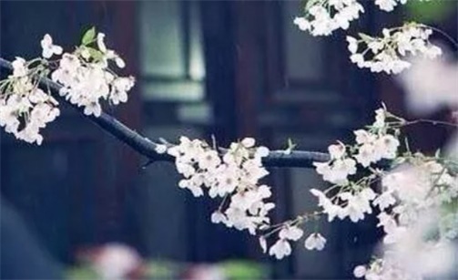 2023年2月23日安入戶門好不好 是吉利的安裝大門日嗎