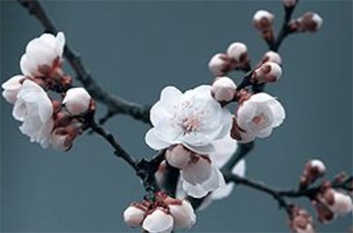 2023年農(nóng)歷十月十五是開張大吉好日子嗎  門店開業(yè)吉時(shí)查詢