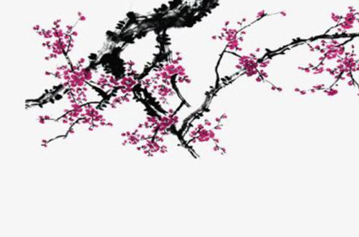 2024年3月1日安入戶門好不好 是吉利的安裝大門日嗎